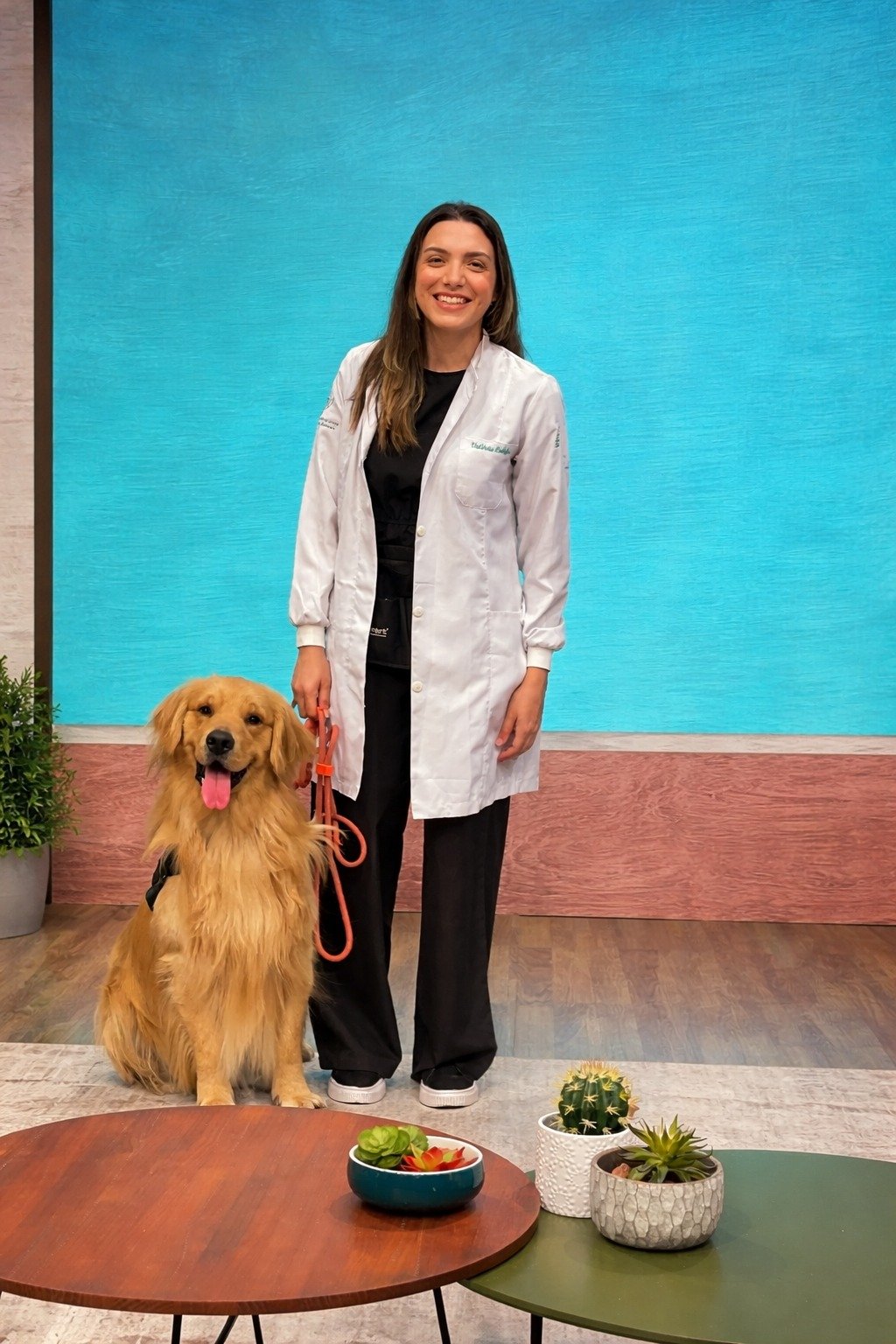 Golden Retriever tranquilo após intervenção comportamental